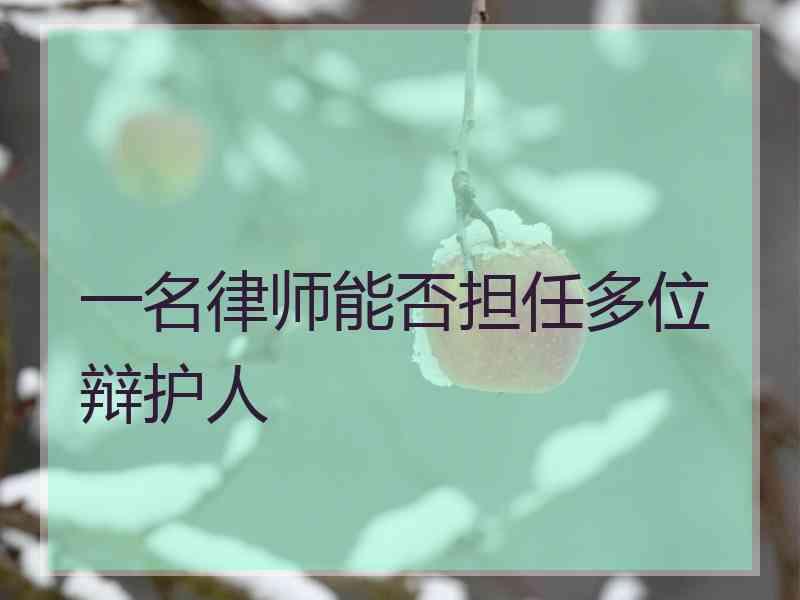 一名律师能否担任多位辩护人