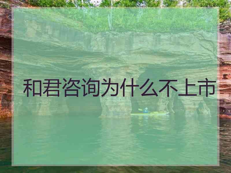 和君咨询为什么不上市