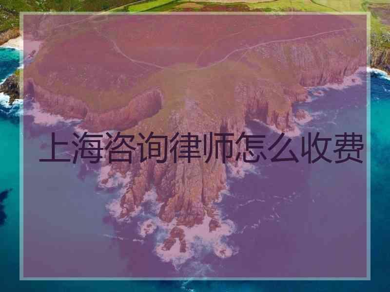 上海咨询律师怎么收费