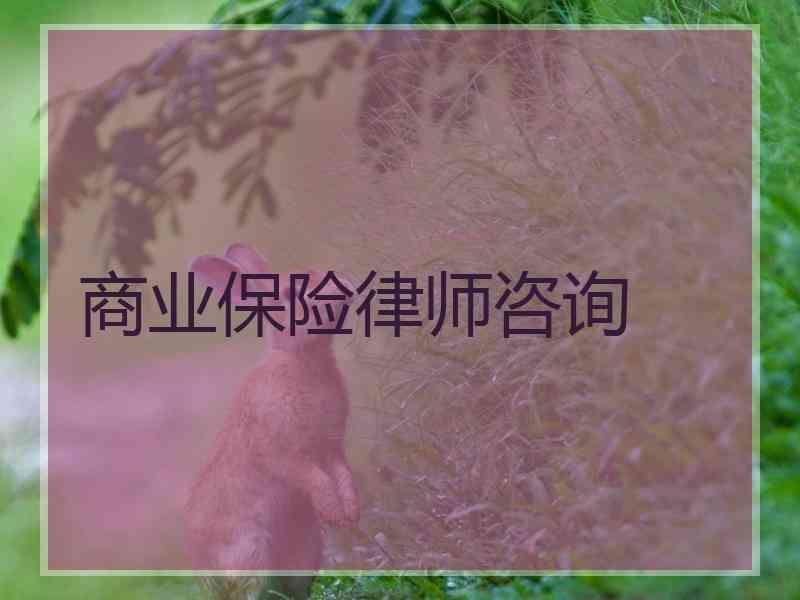 商业保险律师咨询