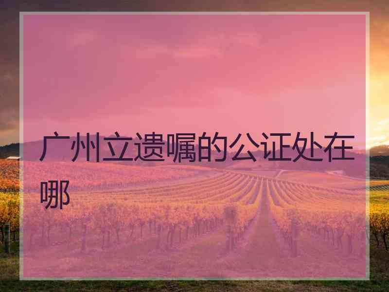 广州立遗嘱的公证处在哪