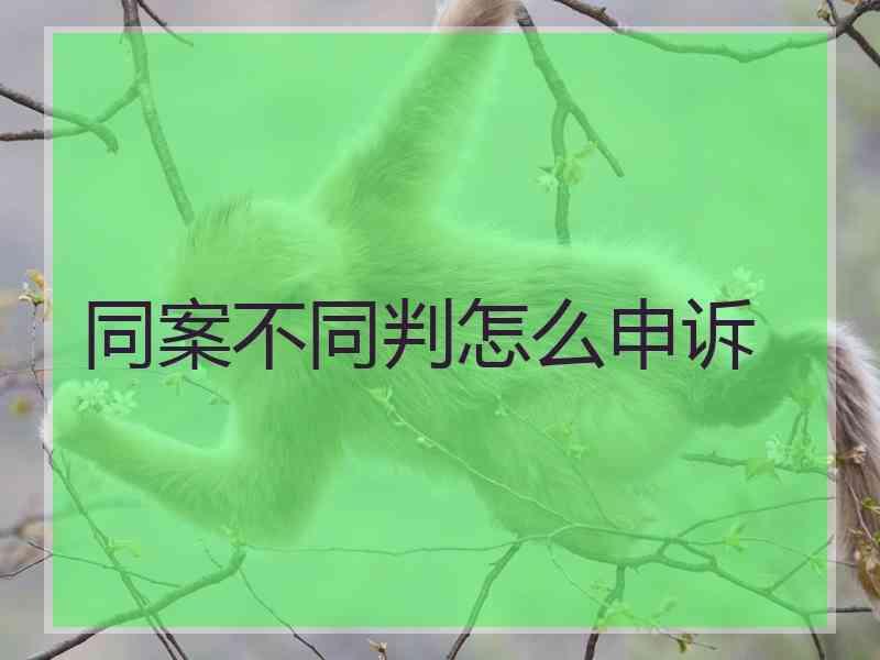 同案不同判怎么申诉