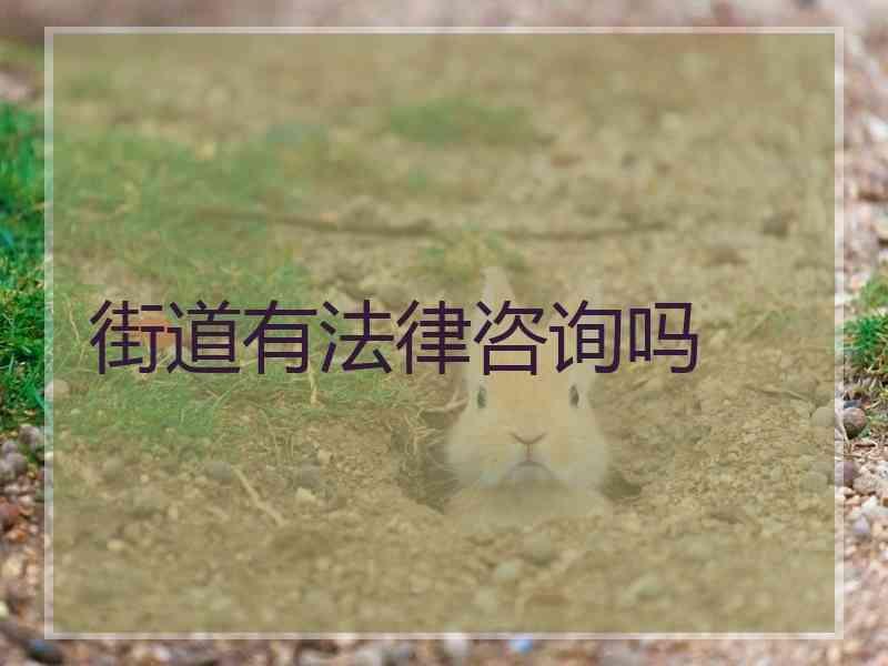 街道有法律咨询吗