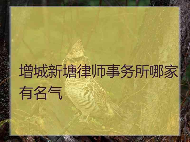 增城新塘律师事务所哪家有名气