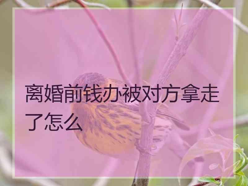 离婚前钱办被对方拿走了怎么