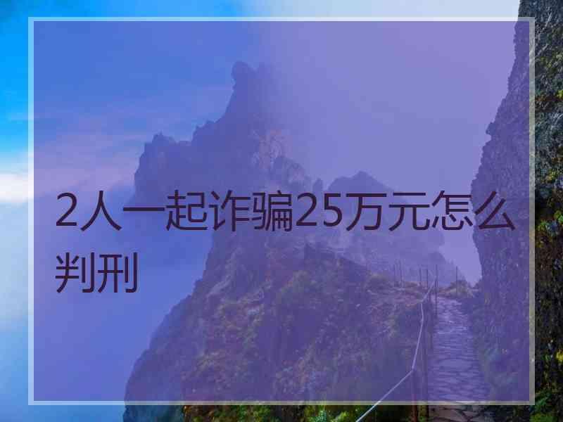 2人一起诈骗25万元怎么判刑