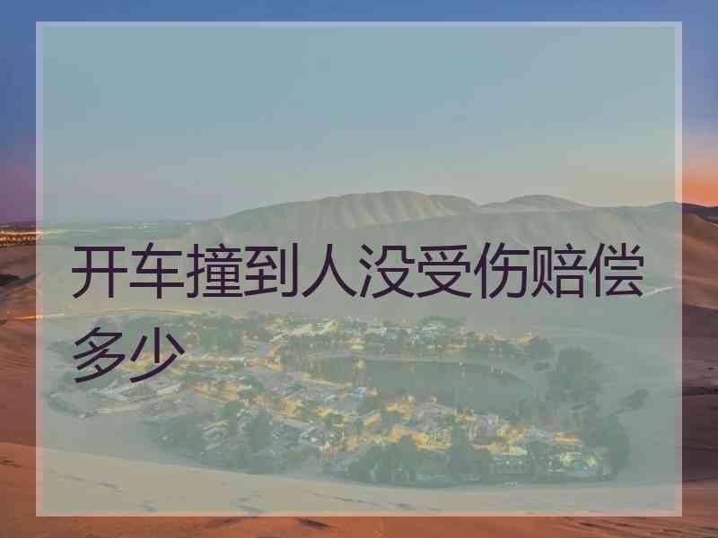 开车撞到人没受伤赔偿多少