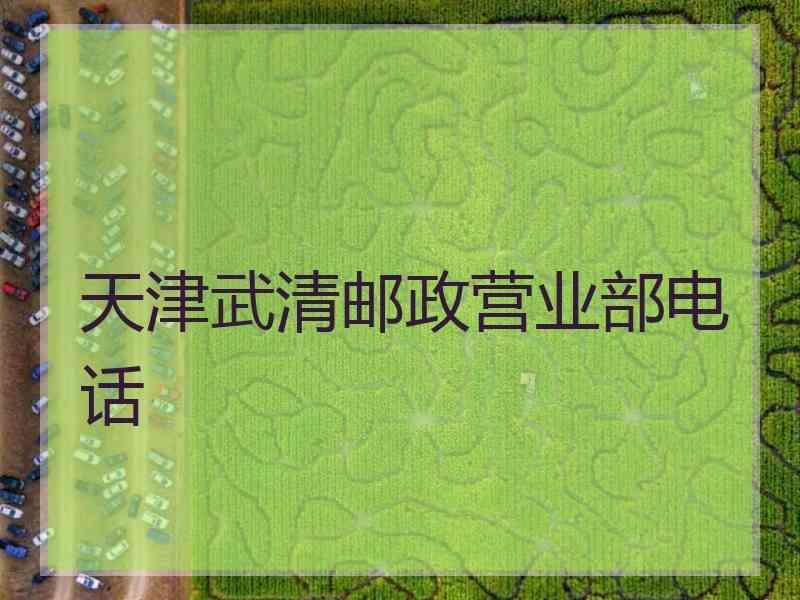 天津武清邮政营业部电话