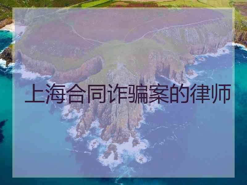 上海合同诈骗案的律师