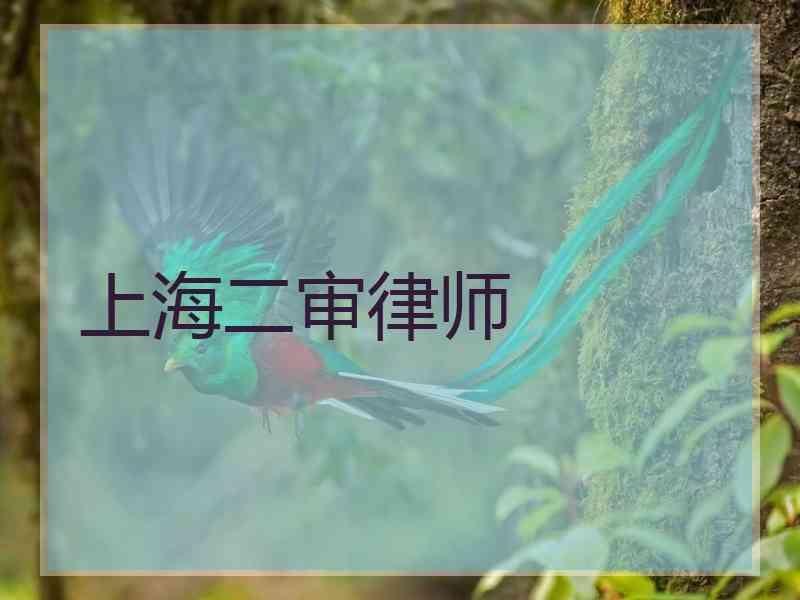 上海二审律师