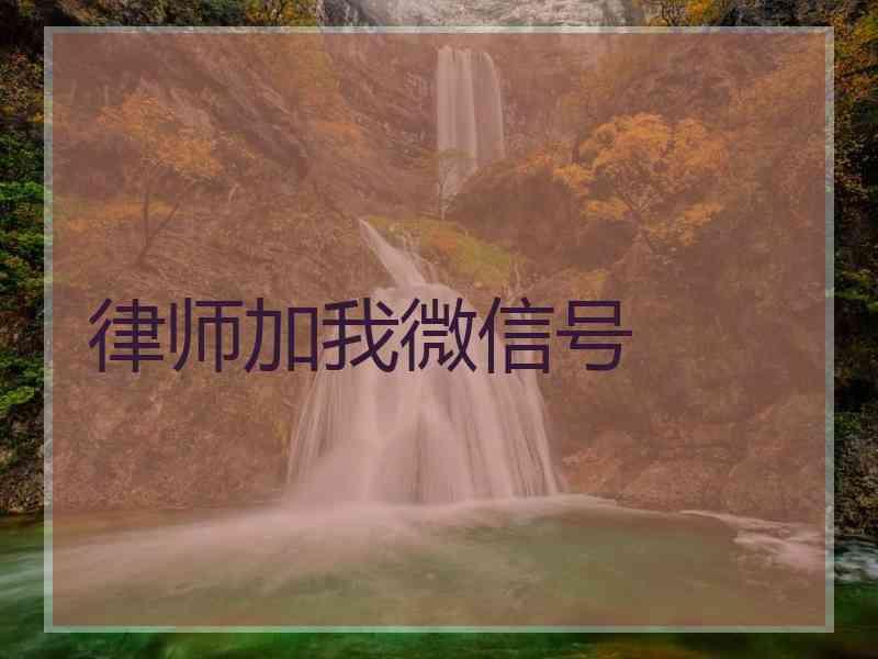 律师加我微信号