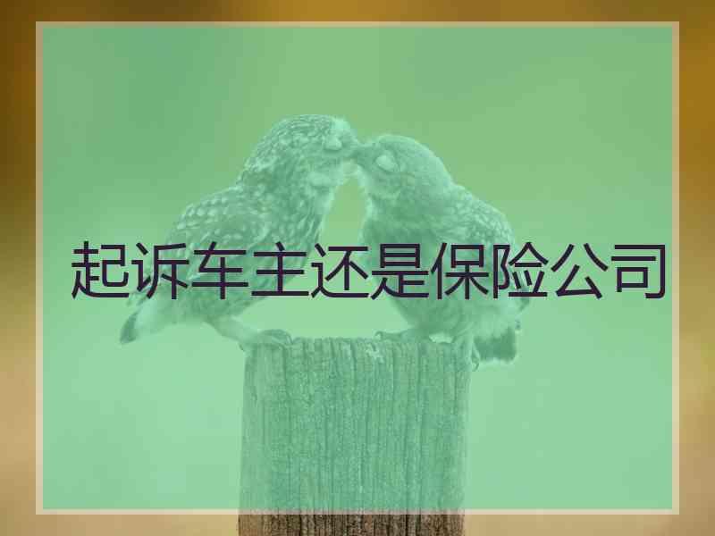 起诉车主还是保险公司