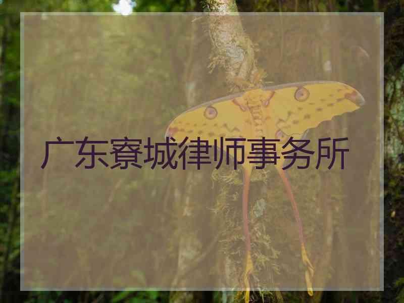 广东寮城律师事务所