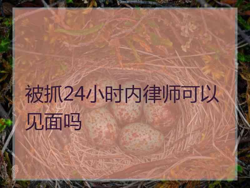 被抓24小时内律师可以见面吗