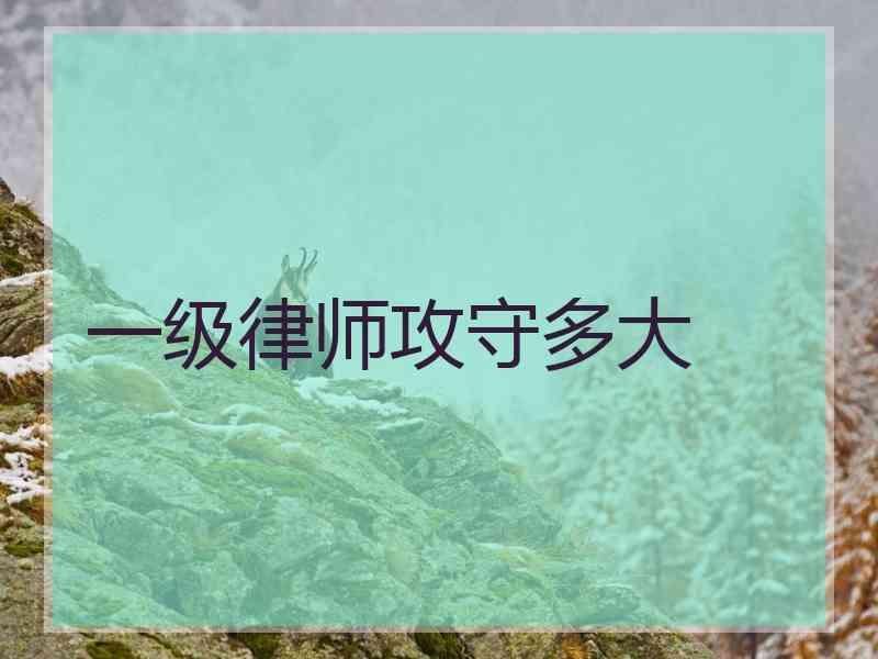 一级律师攻守多大