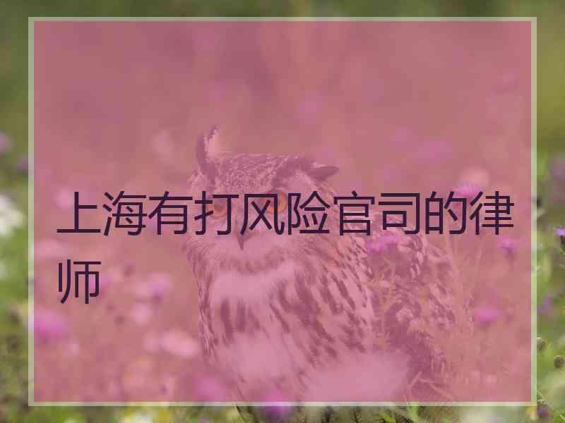 上海有打风险官司的律师