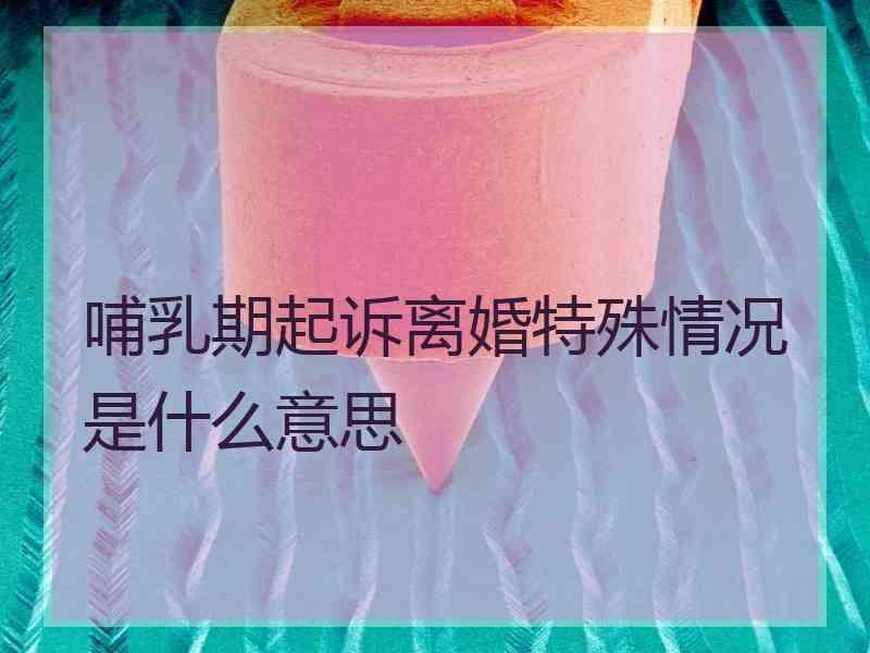 哺乳期起诉离婚特殊情况是什么意思