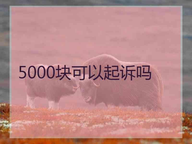 5000块可以起诉吗