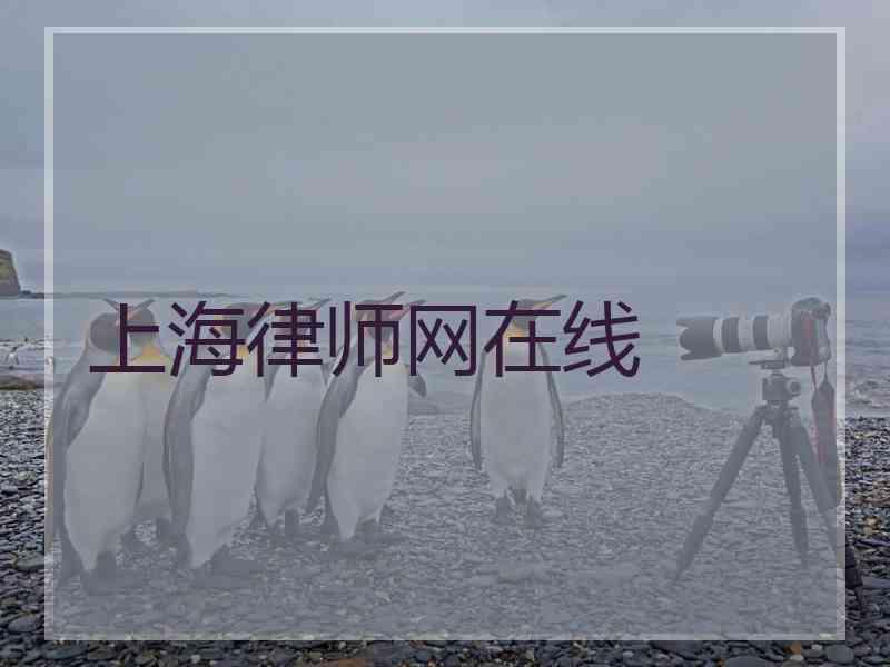 上海律师网在线