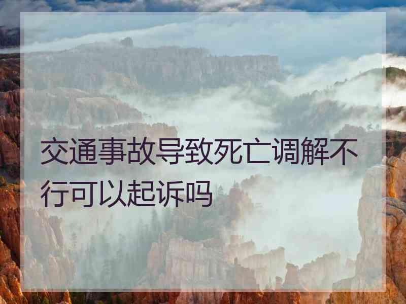 交通事故导致死亡调解不行可以起诉吗