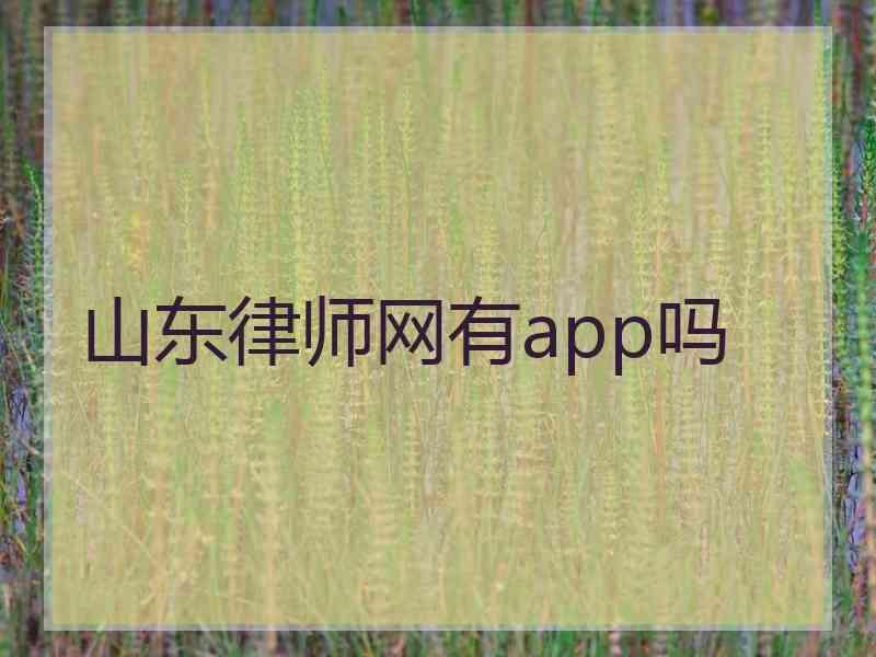 山东律师网有app吗