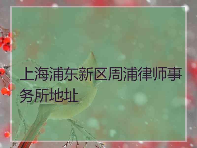 上海浦东新区周浦律师事务所地址