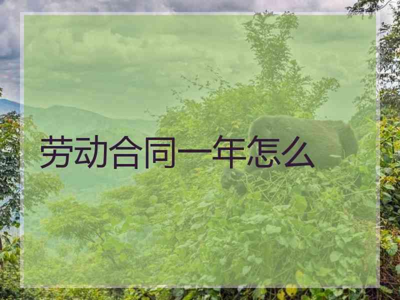 劳动合同一年怎么