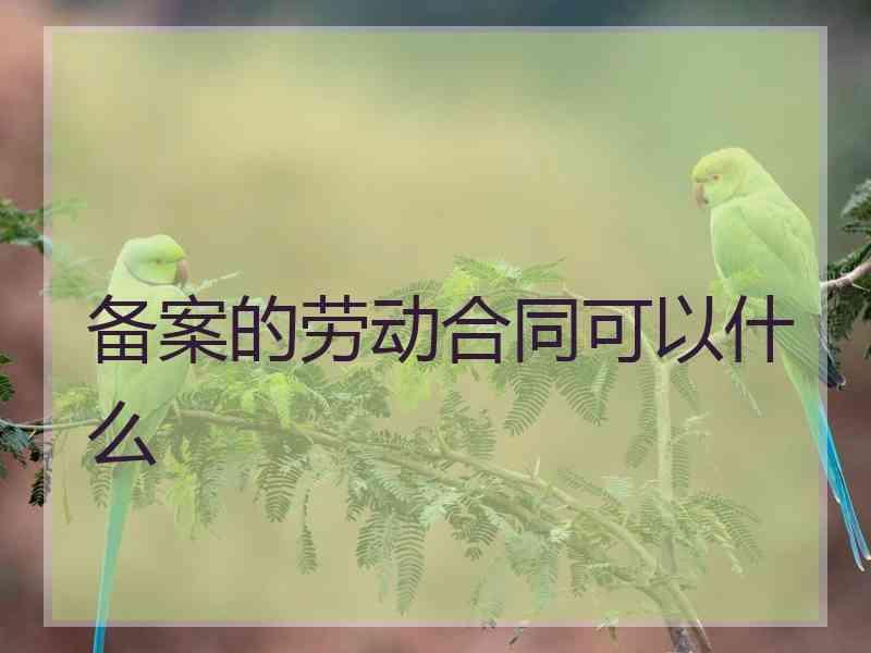 备案的劳动合同可以什么