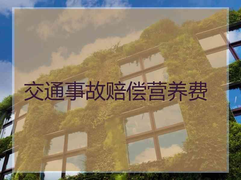 交通事故赔偿营养费