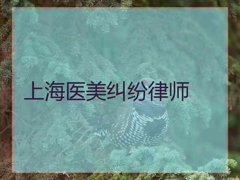 上海医美纠纷律师