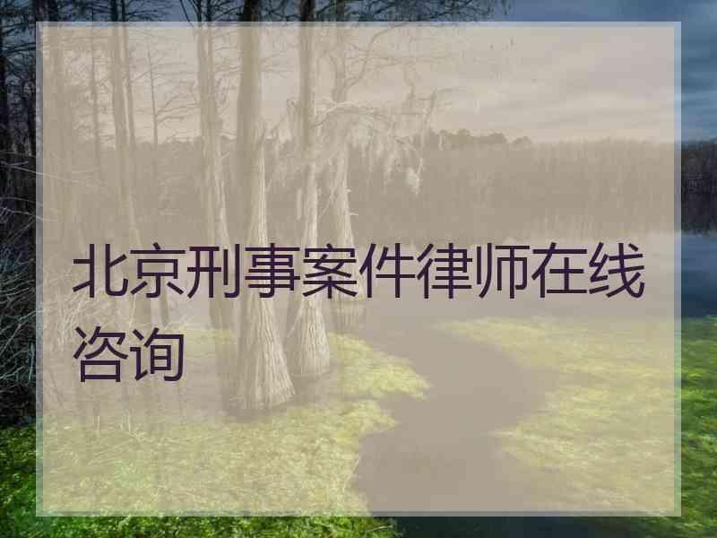 北京刑事案件律师在线咨询