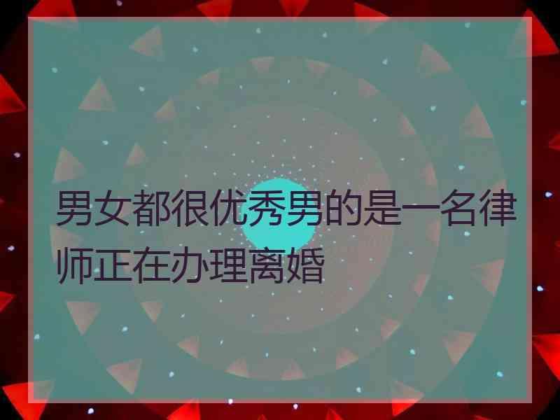 男女都很优秀男的是一名律师正在办理离婚