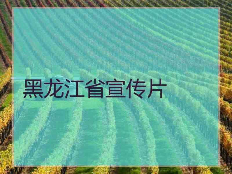 黑龙江省宣传片