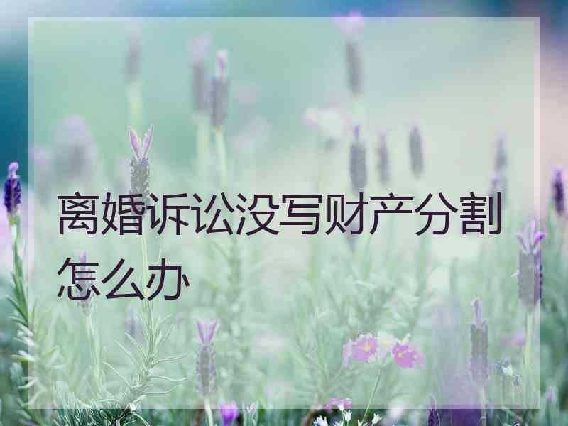 离婚诉讼没写财产分割怎么办