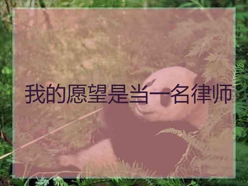 我的愿望是当一名律师