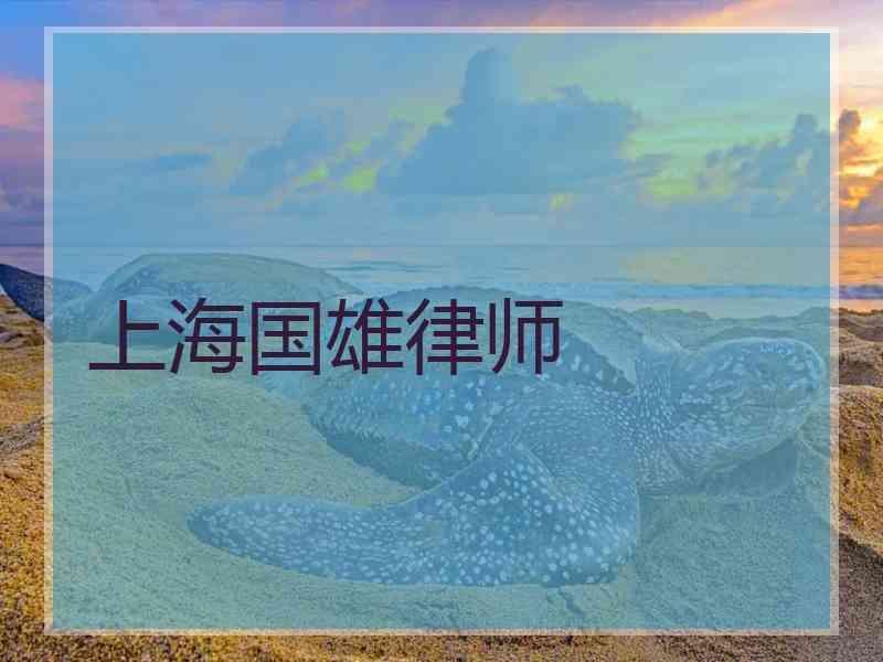 上海国雄律师