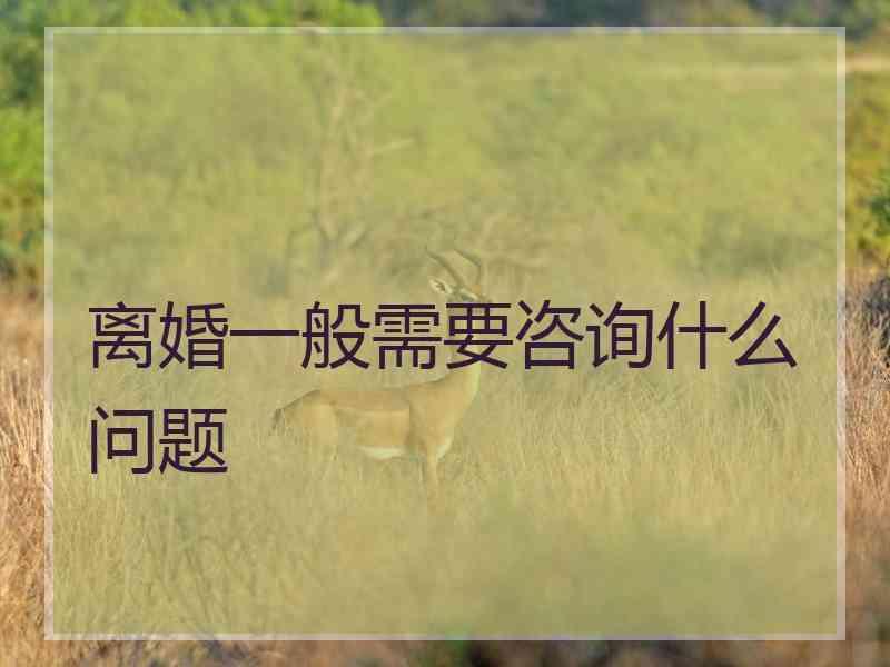 离婚一般需要咨询什么问题