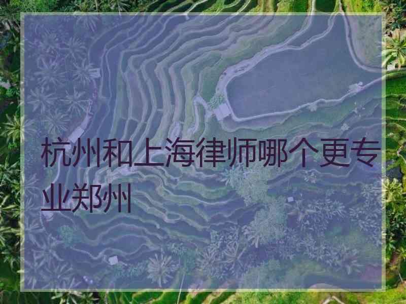 杭州和上海律师哪个更专业郑州