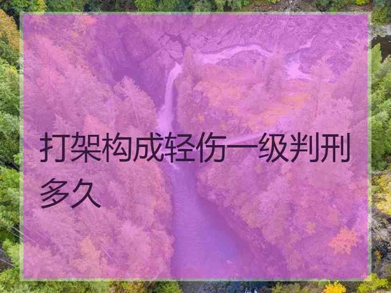 打架构成轻伤一级判刑多久