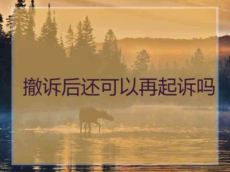 撤诉后还可以再起诉吗