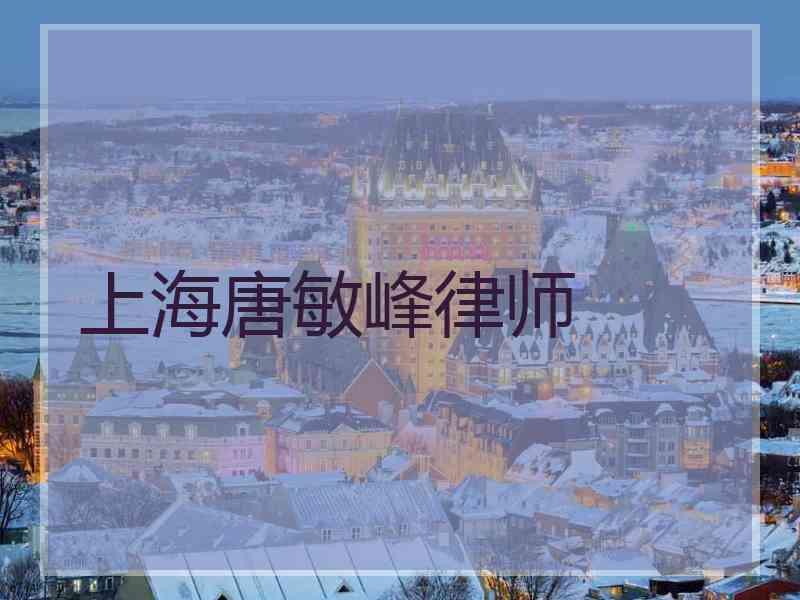上海唐敏峰律师