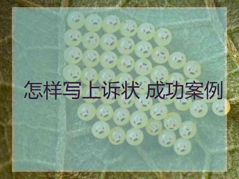 怎样写上诉状 成功案例