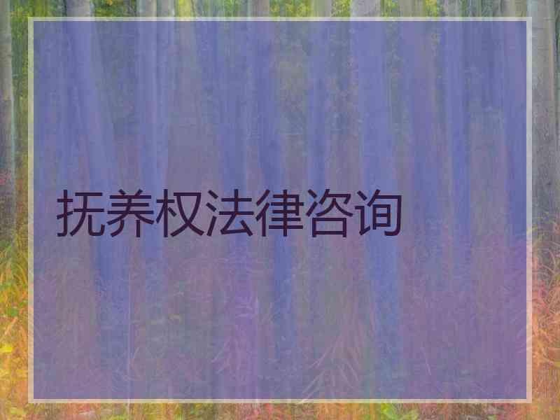 抚养权法律咨询