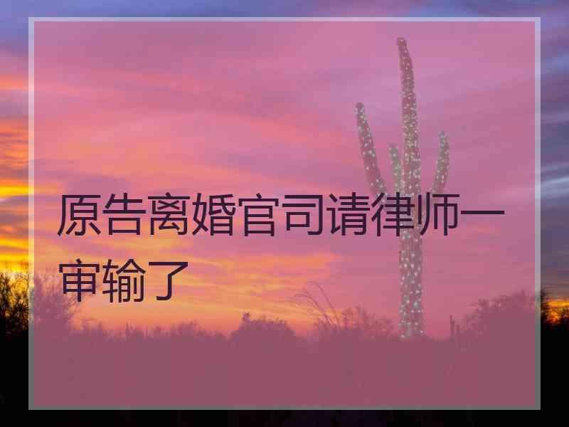 原告离婚官司请律师一审输了