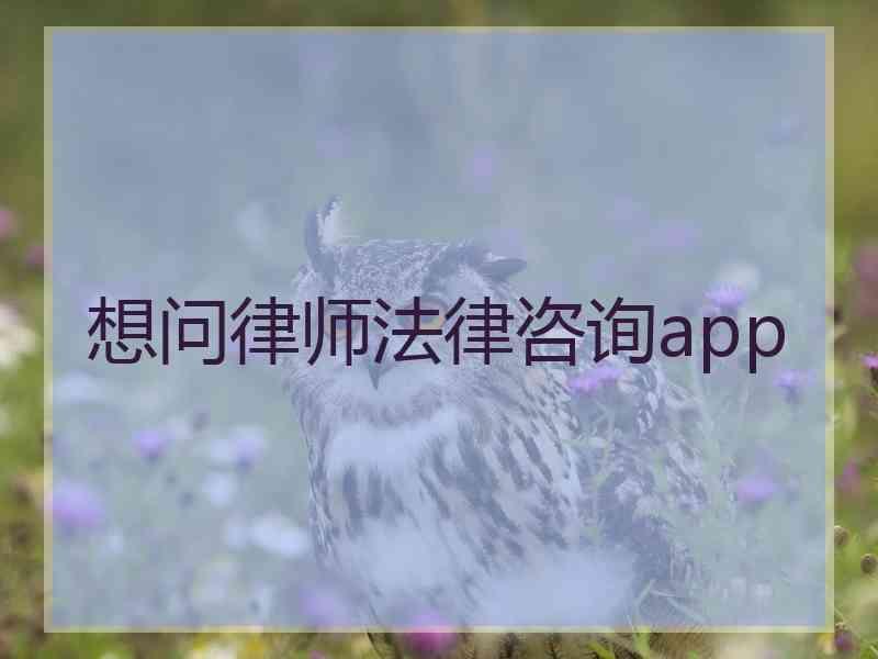 想问律师法律咨询app