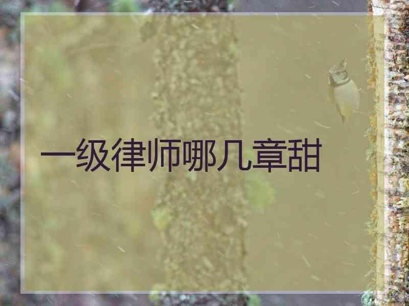 一级律师哪几章甜