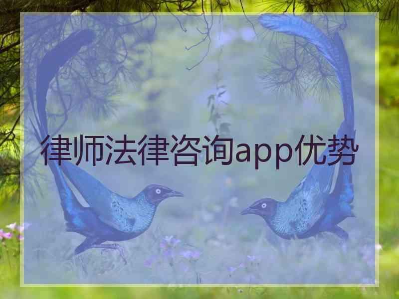 律师法律咨询app优势