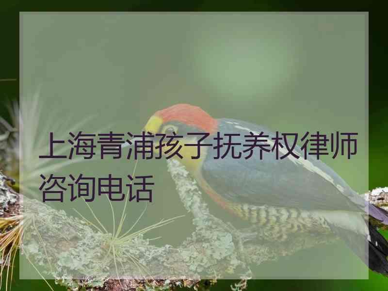 上海青浦孩子抚养权律师咨询电话