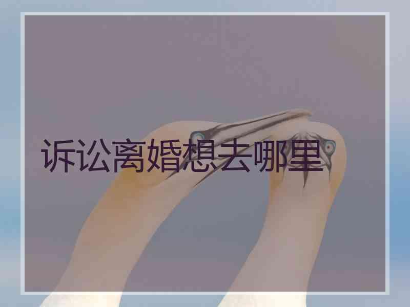 诉讼离婚想去哪里