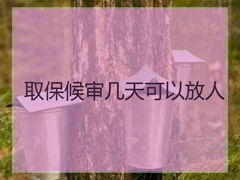 取保候审几天可以放人